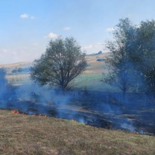 Incendii devastatoare în trei localități din județ