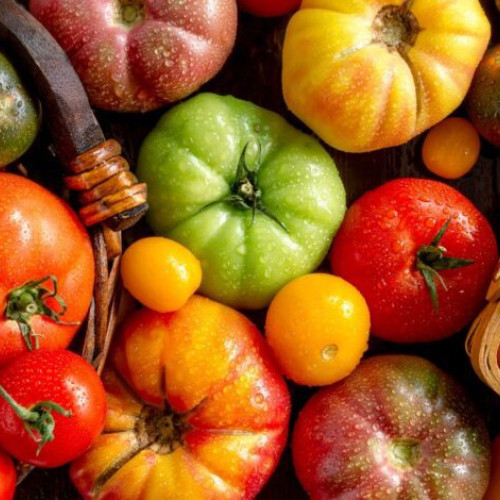 Exozitie cu degustare la Statiunea de Cercetare-Dezvoltare Legumicola Buzau