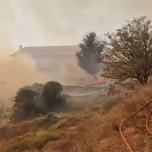 Incendii devastatoare în Grecia, pompierii români în misiune în Attica