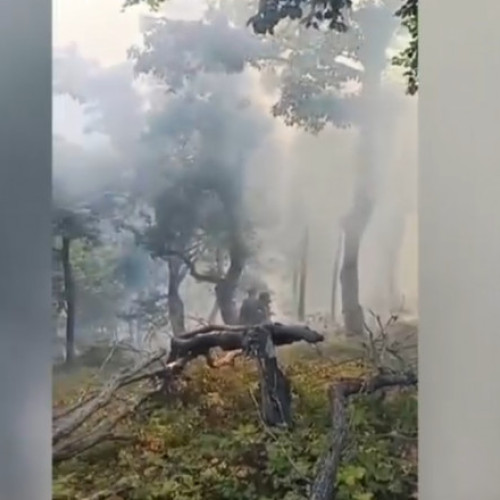 Intervenție dificilă a pompierilor în Mehedinți și Vâlcea