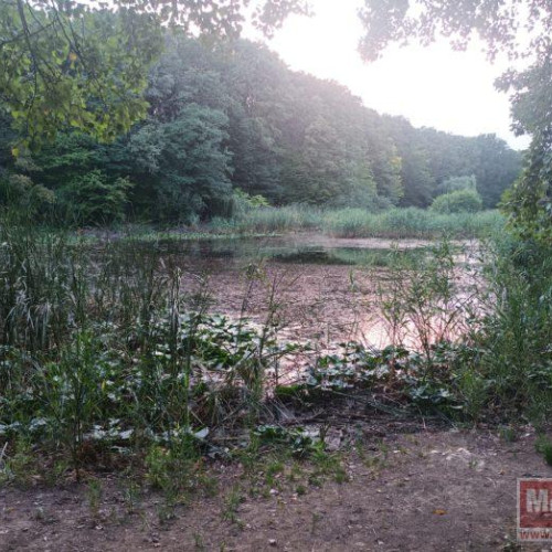 Lacul cu nuferi din Mihai Eminescu, abandonat de autorități