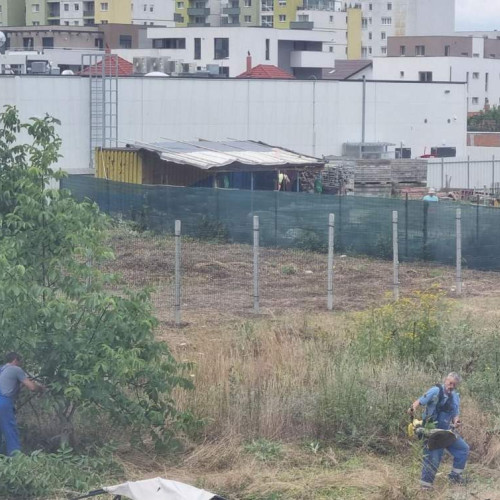 Angajați ai Electrica cosesc terenuri private în timpul programului de lucru