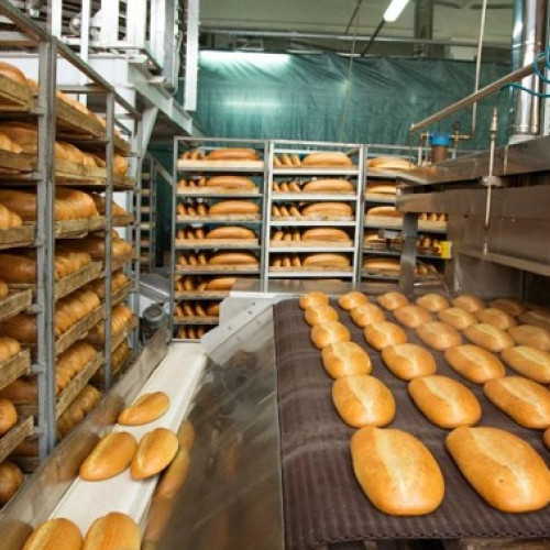 Tanar de 24 de ani decedat într-o fabrică de pâine din Tulcea