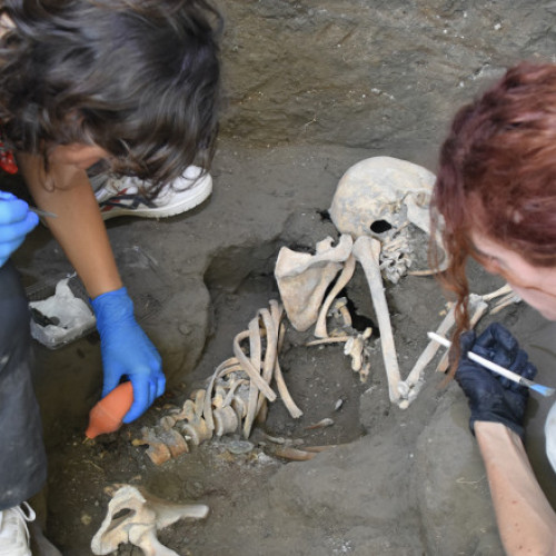 Rămășițele a două victime ale erupției Vezuviului descoperite la Pompei