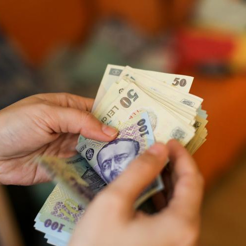 Ministerul Muncii propune tichete de activități casnice ca beneficii extrasalariale