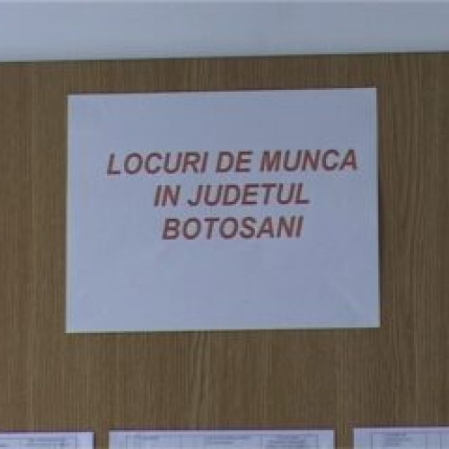 Oferte de muncă în Botoșani: 668 locuri disponibile pentru șomeri