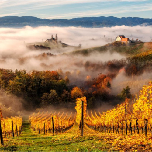 Concurs internațional de artă fotografică organizat de "Euro Foto Art" și Summit Agro România