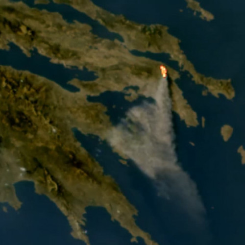 Incendii devastatoare în Grecia: orașul Marathon evacuat, focul se apropie de Atena