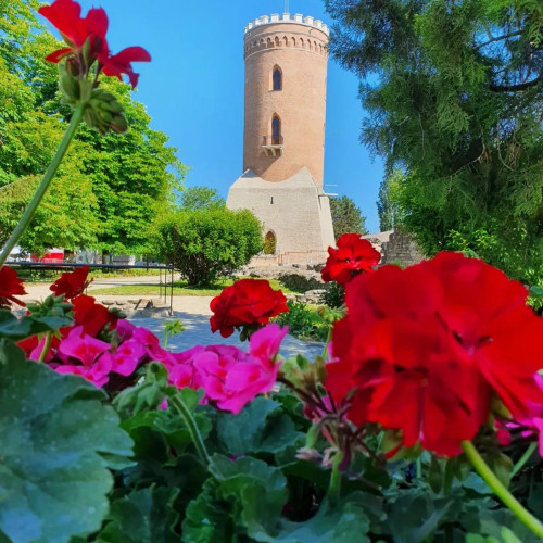 Muzeele din Târgoviște vor fi deschise de Adormirea Maicii Domnului