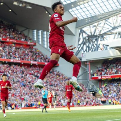 Brentford a semnat cu Fabio Carvalho de la Liverpool