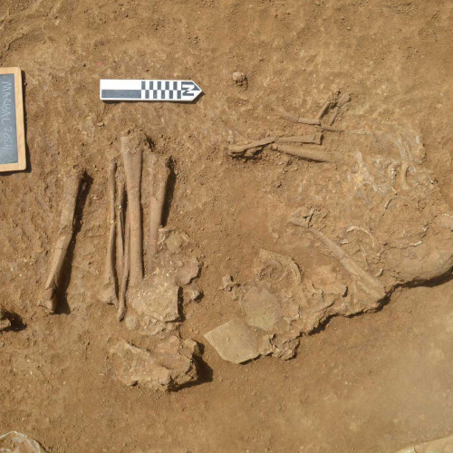 Descoperiri arheologice surprinzătoare la Rimet: un copil și un animal îngropați împreună