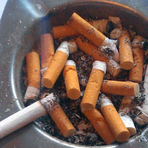 Incident de violență în familie în Brad