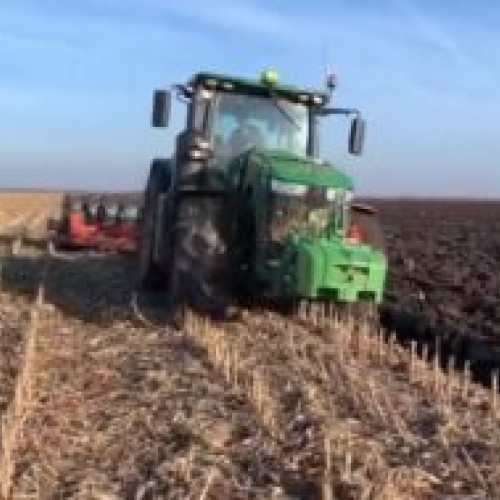 Insolvență pentru un fermier din județul Botoșani