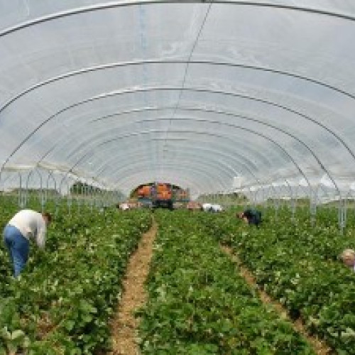 Angajatorii din Spațiul Economic European oferă 182 de locuri de muncă vacante