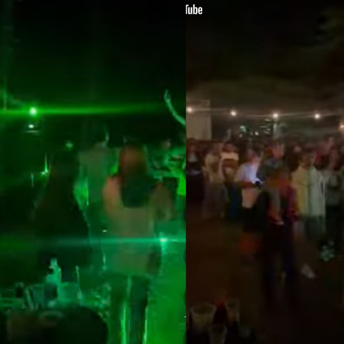 Tismana transformă o pădure obișnuită într-o atracție turistică vibrantă