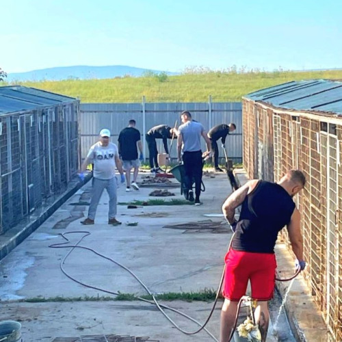 Bunatatea nu are granite: Detinuți și angajați ai Penitenciarului Botoșani ajută adăpostul de animale