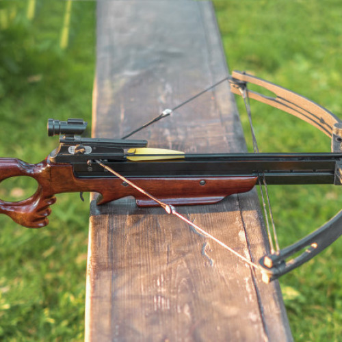 Femeie grav rănită în atac cu arbaleta în Franța