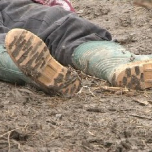 Tragedie în Botoșani: Un bărbat a murit în timp ce muncea