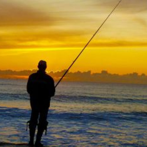 Primarul din Botoșani organizează un concurs de pescuit