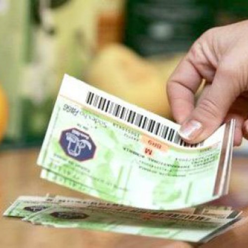 Persoanele fizice pot angaja personal pentru activități domestice cu ajutorul tichetelor casnice