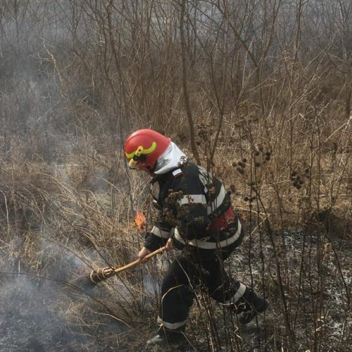 Incendiu de vegetație în Munții Apuseni, mobilizate forțe de intervenție