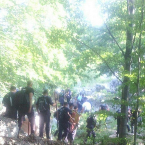 Incendiul de pădure din județul Mehedinți a fost stins