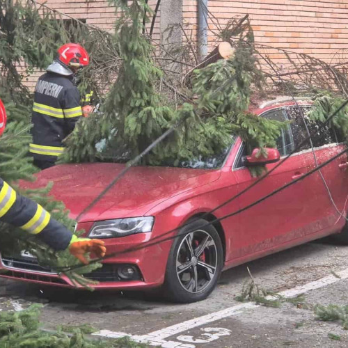 Pagube după furtuna de joi după-amiază în Alba