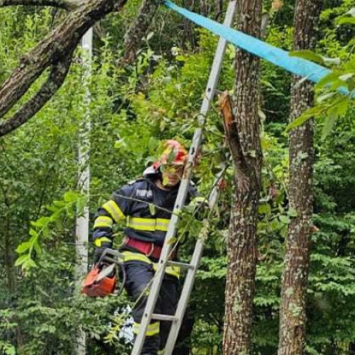 Furtuna doboară copaci și blochează accesul la Mănăstirea Prislop în județul Hunedoara