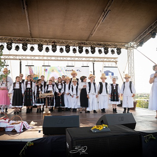 Festivalul Folcloric &quot;Cetatea Codrului&quot; a strâns iubitori ai tradițiilor la Ardud