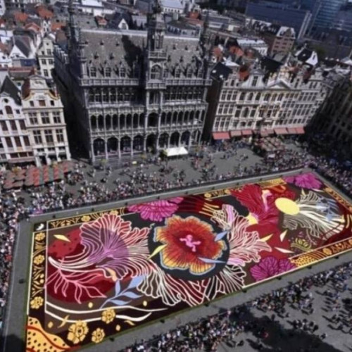 Covorul de flori acoperă din nou Grand Place din Bruxelles