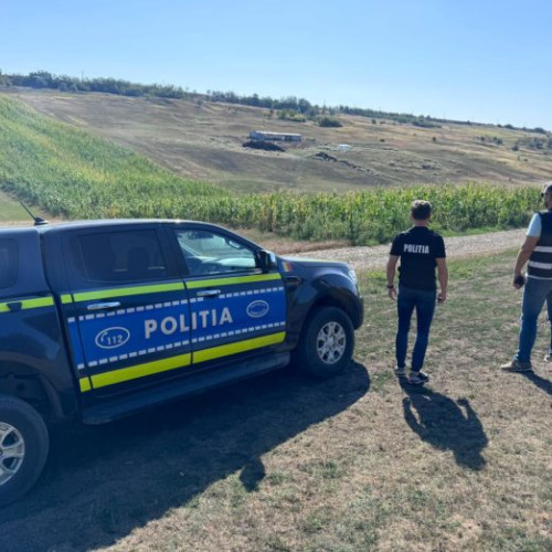 Acțiune de verificare a gestionării câinilor fără stăpân în județul Botoșani