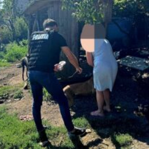 Controale ale poliției privind câinii fără stăpân în județul Botoșani