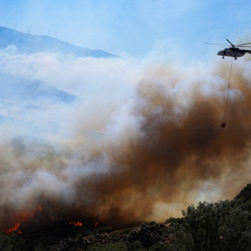 Incendiile de vegetație din Turcia: Pompierii luptă pentru control