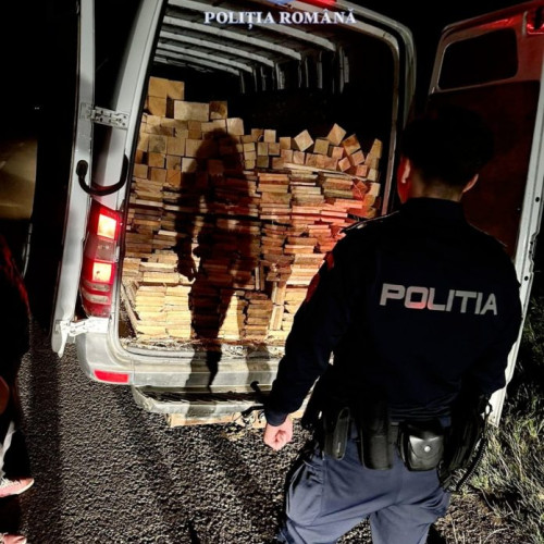 Oprit în trafic pentru transport ilegal de lemn în Talpa