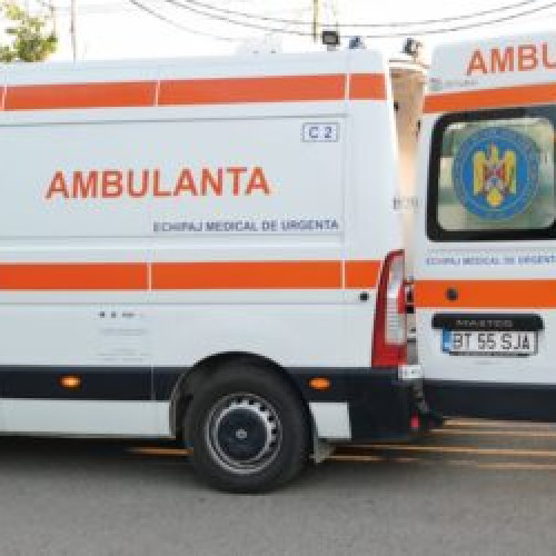 Femeie din Botoșani atacată de un câine