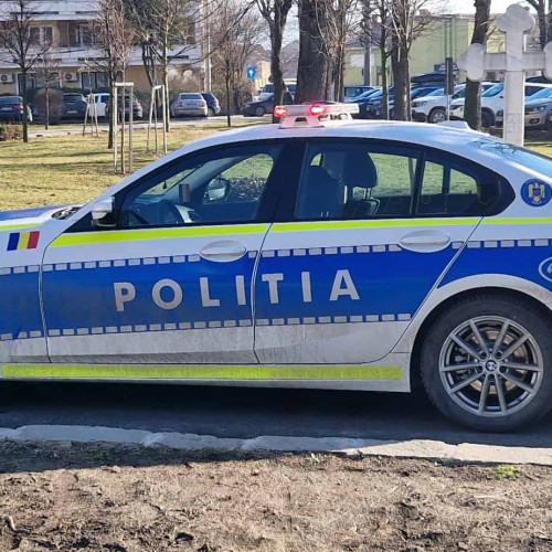 Activități pentru combaterea infracțiunilor în județul Alba