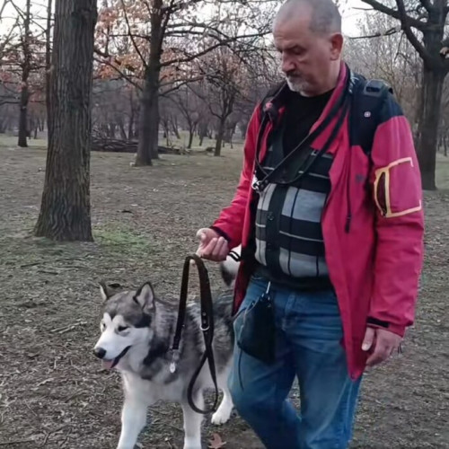 Ședința de dresaj durează două ore pentru adopții canine