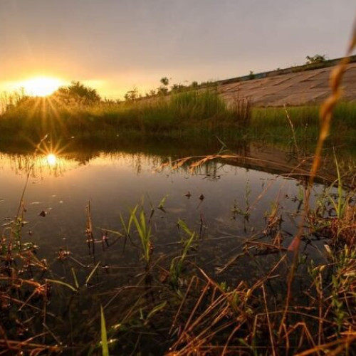 Program diversificat de activități în weekendul 24-25 august