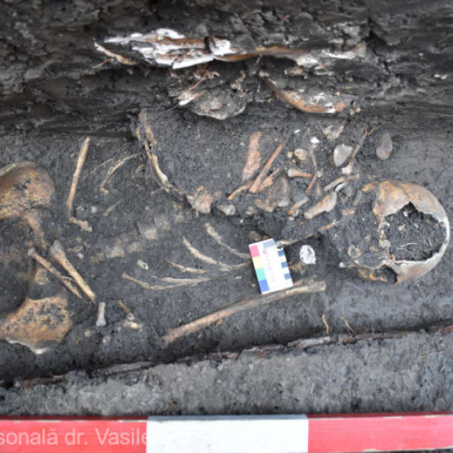 Descoperiri arheologice remarcabile în zona Târgu Neamț