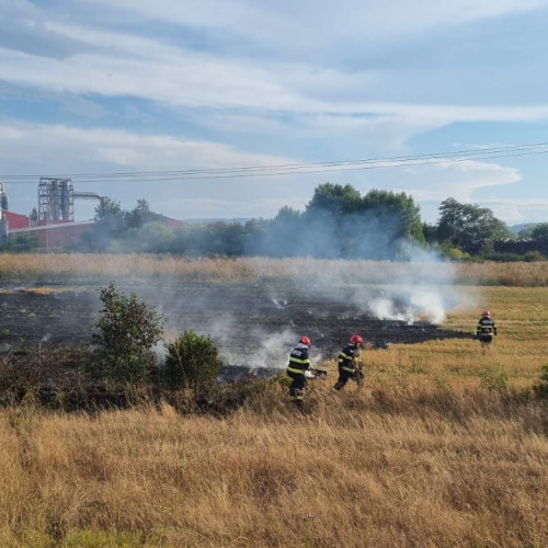 Incendiu pe Autostrada A1, pompierii din Sebeș intervin