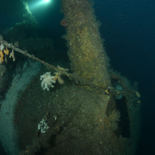 Epava unei nave de război din 1914, descoperită în largul Scoției