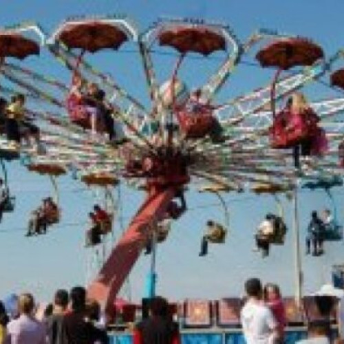 Anul acesta ar putea fi ultimul Balci în Groapa din Giurgiu