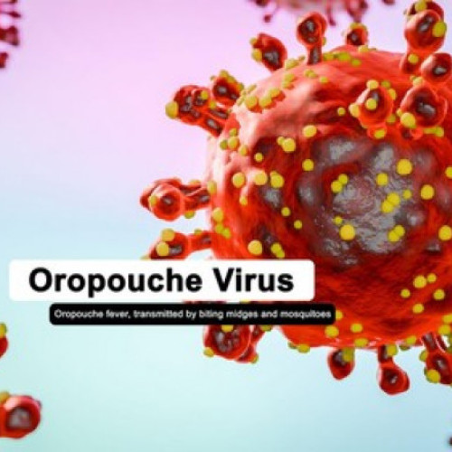 &quot;Febra lenesului&quot; este raportată în Europa