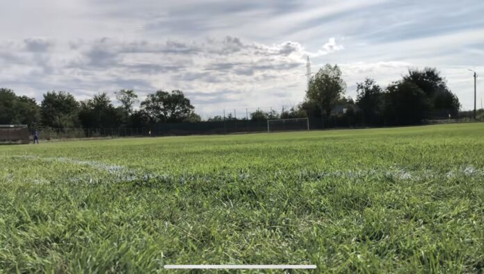 Primarul comunei Daia discută despre viitoarele proiecte pentru dezvoltarea comunității