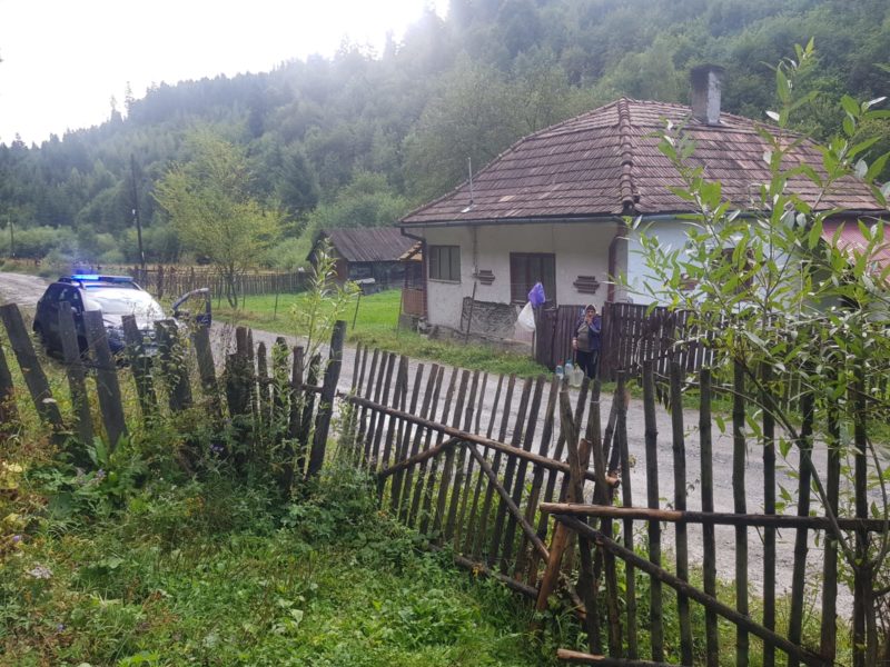 Crește numărul urșilor în orașele din Harghita