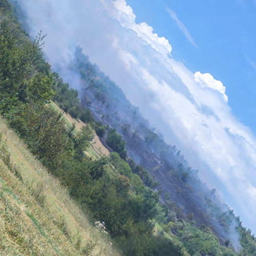 Incendiu de mari proporții în zona Deda, intervenție dificilă a pompierilor