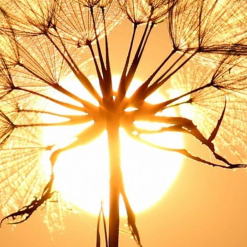 Valul de căldură afectează România, temperaturi ridicate în întreaga țară