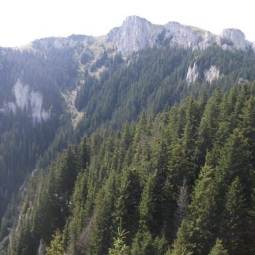 Incendiul din Masivul Piatra Mare este încă activ