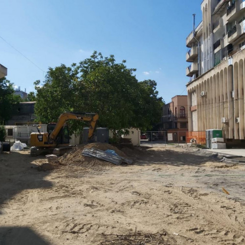 Problemele tăierii copacilor în Galați