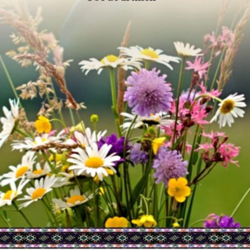 Festivalul "Cate flori pe Iza-n sus" se desfășoară în Dragomirești